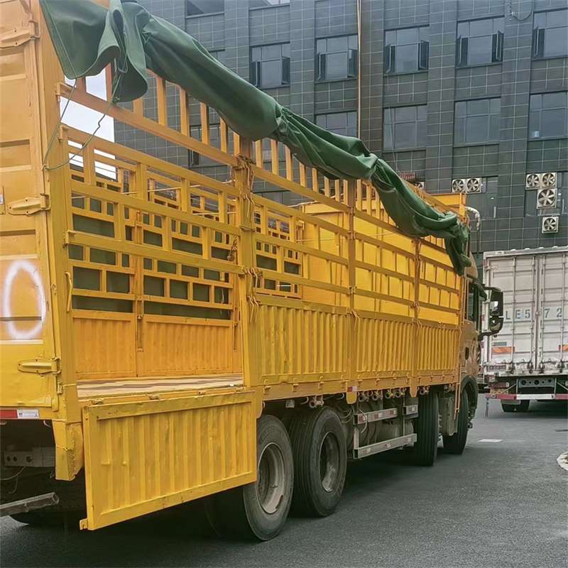 日照市吉安市物流：多元服务与高效运输线路探秘