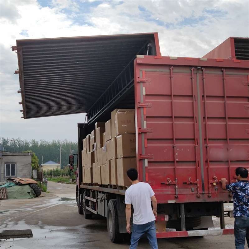 日照市扎囊县：物流专线的高效货运之旅